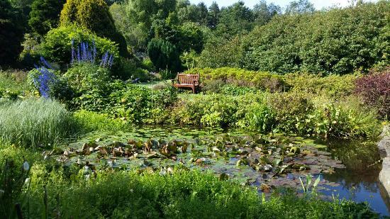 St Andrews Botanic Gardens